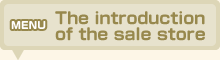 The introduction of the sale store